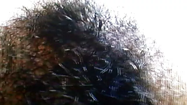 ممتاز :  شخصان افلام سكس ايطالي مترجم عربي يستمتعان بصحبة بعضهما البعض على السرير الكبار أفلام سكس 