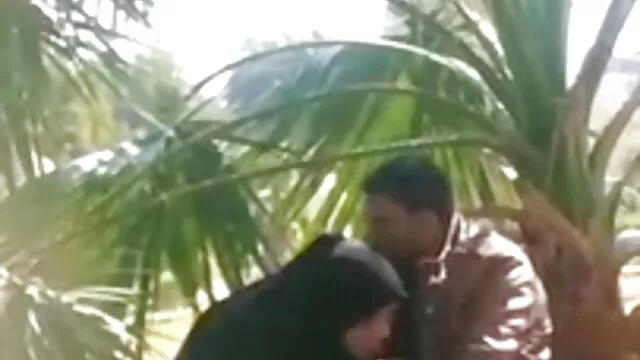 جودة عالية :   مقاطع الفيلم 