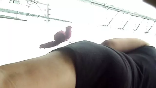 ممتاز :  شقراء تبلغ من العمر ثلاثين عاما مع كبير الثدي يستمني على افلام سكس مترجم عربي الكاميرا الكبار أفلام سكس 