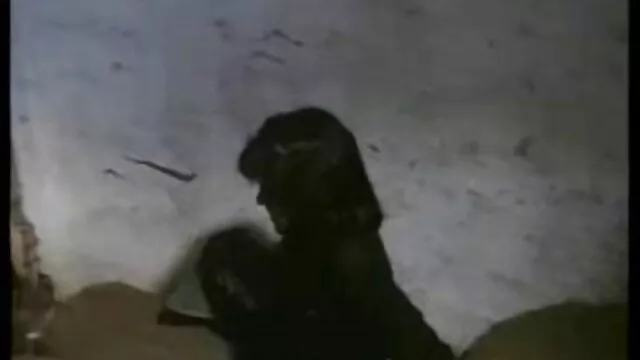 ممتاز :  كتي سمراء فاتنة يحصل لها كس سمر في افلام جنس مترجمه عربي مرهن الكبار أفلام سكس 